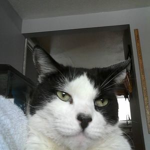 Meet your Posher, Joan